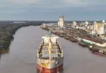 El puerto diversifica sus cargas, suma exportaciones y genera más trabajo