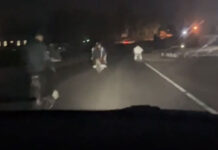 Sin luces, sin casco, sin control: Motoqueron circulando en el acceso Artusi (VIDEO)