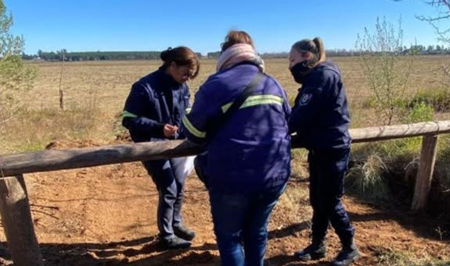 Escándalo en Paso Vera Norte: Municipalidad denunció penalmente a privados por tala ilegal y destrucción del monte protegido (VER VIDEO)
