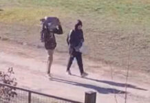 “Como ratas”: Merodearon hasta que encontraron la oportunidad para robar (VER EL VIDEO)