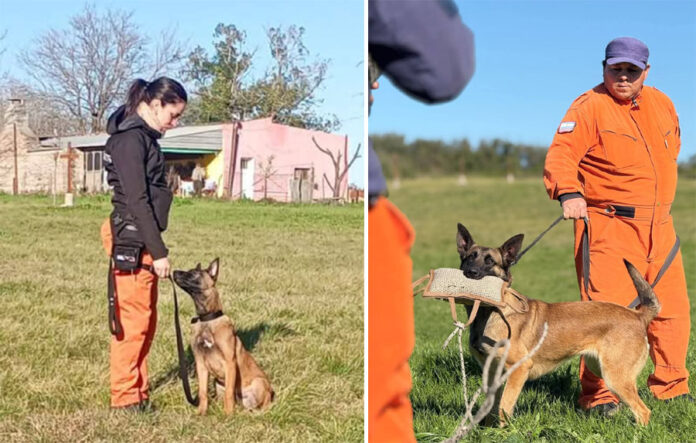 bom-k9
