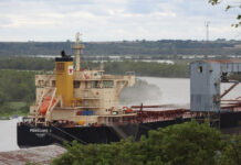 Entre Ríos lidera el transporte fluvial de granos del país: concentra nueve de cada 10 toneladas